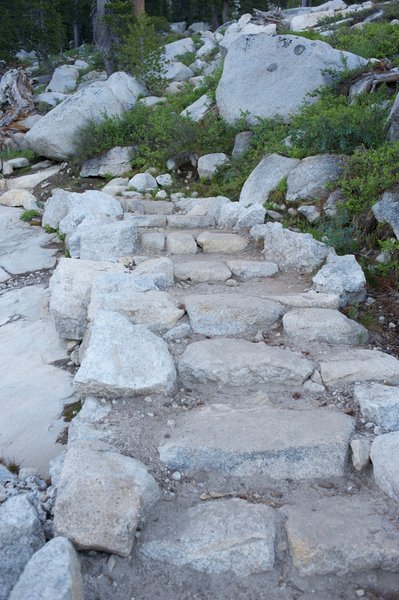 This part of the trail is the most grueling as it climbs via switchbacks.  In some places there are steps like this to help climbing.