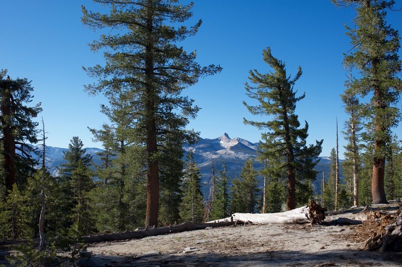 Views of the Cathedral Range from the Clouds Rest Trail.