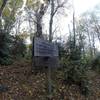 Junction of the Appalachian trail and the tail to Mt. Cammerer