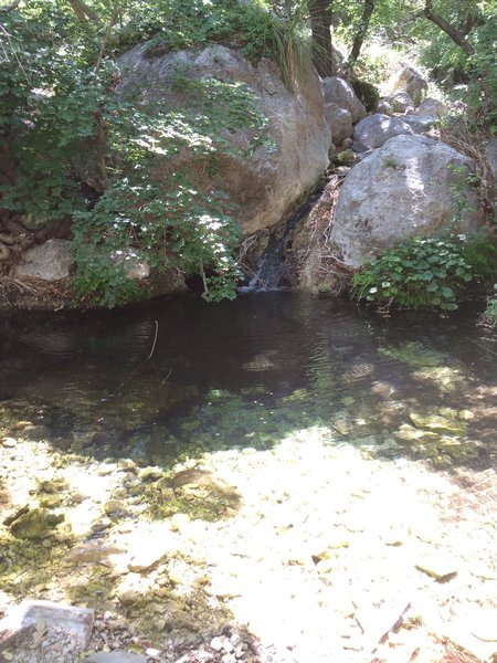 Smith Spring from the Smith Spring trail.