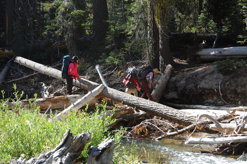 Crossing Kings Creek.