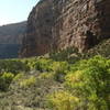 Fall colors along Jones Creek in Dinosaur National Monument, Utah. with permission from phil h