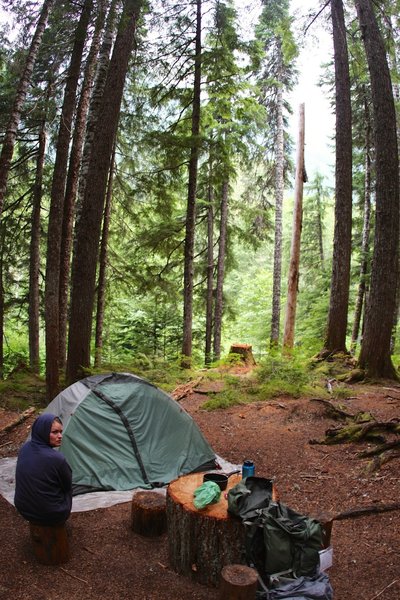 Stillwell Campsite in deep forest.