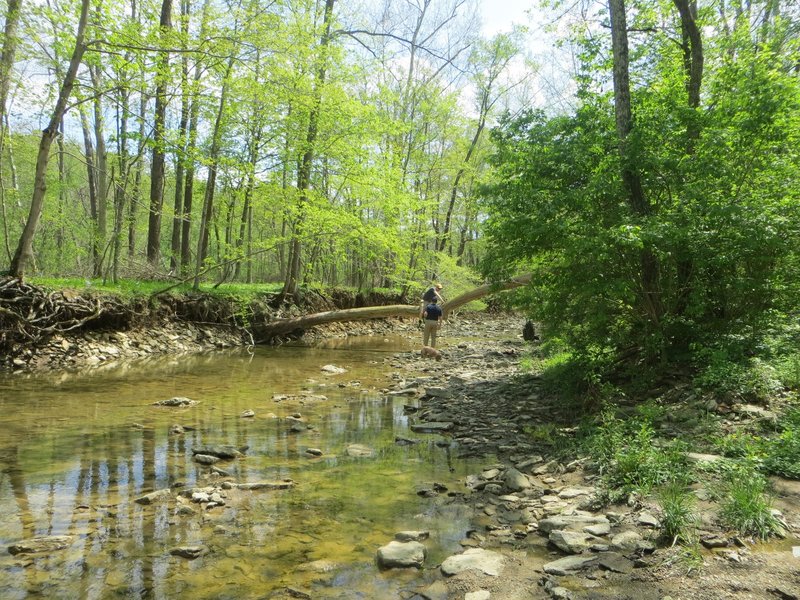 Stream crossing the trail.