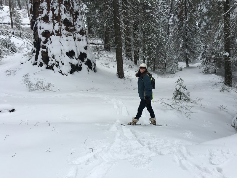 North Grove Loop Hiking Trail, Squaw Valley, California