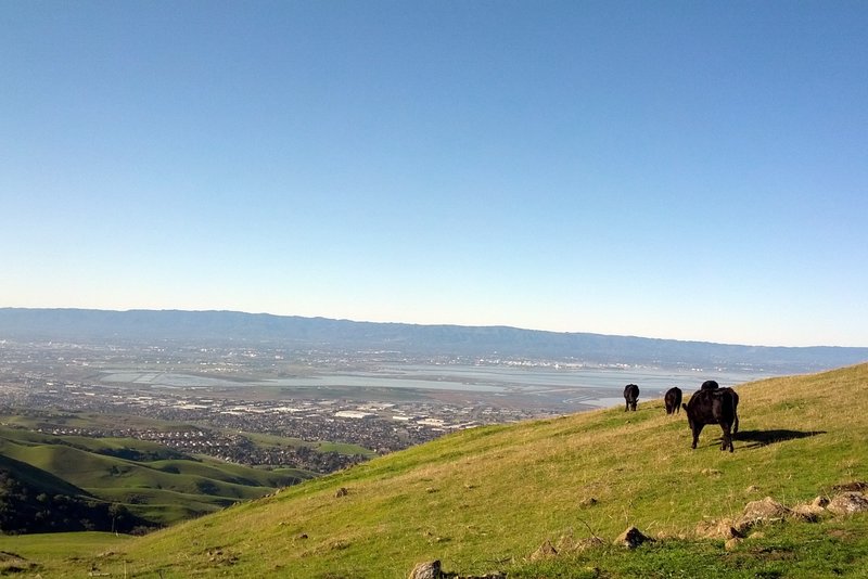 The skyline is easy to see from way up here on the Hidden Valley Trail.