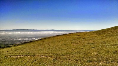 Mission Peak Regional Preserve.