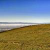 Mission Peak Regional Preserve.