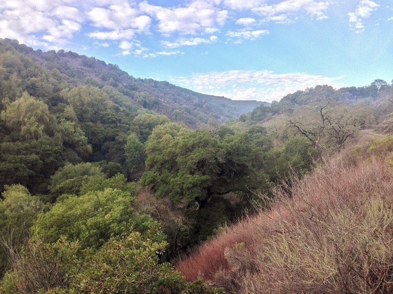 View in Rancho San Antonio Open Space Preserve.