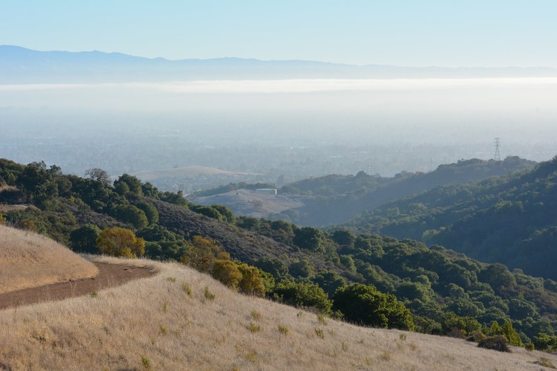 Rising above the Bay Area smog.