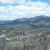 The Big Meadow Fire started as a prescribed burn in August 2009, but grew out of control.  The damage you see in this shot is the result of that burn.