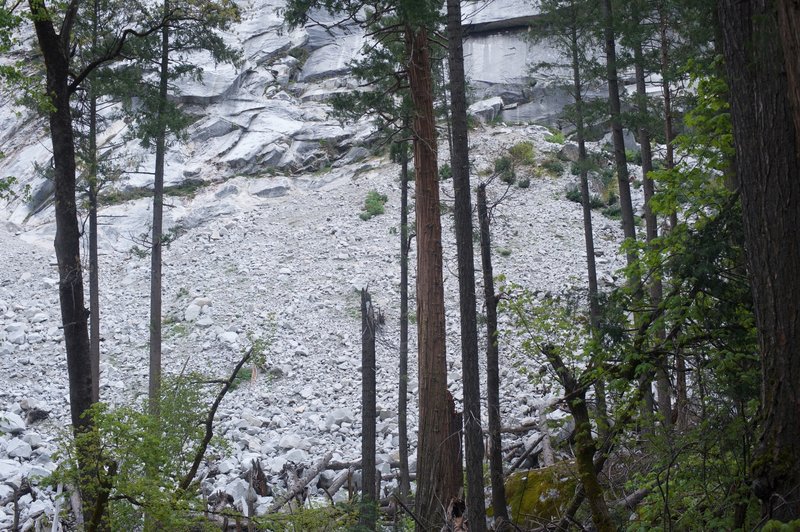 The damage done by the Ahwiyah Point Rock Fall. The trail was closed for several years, but has been reopened thanks to the work done by crews to create a trail through it.