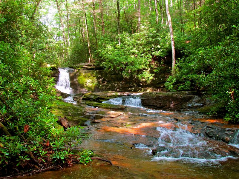 Raven Cliff Falls.