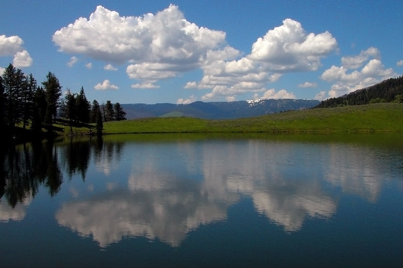 Trout Lake in Yellowstone National Park. with permission from Ralph Maughan