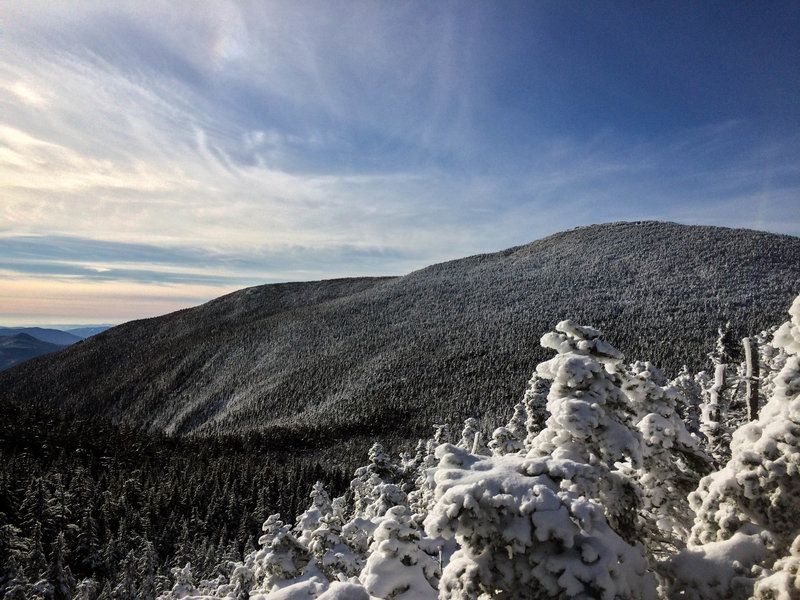 View of the Moosilauke summit from along the trail.