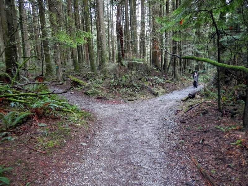 Fork in the trail. Choose between the "Highway" or the "Low way."