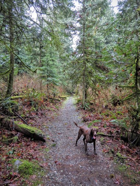 George's Way Trail.