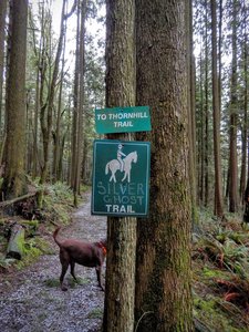 Short Silver Ghost Trail.