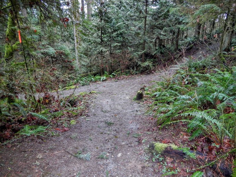 Where the Silver Ghost Trail and the Thornhill Trail meet.