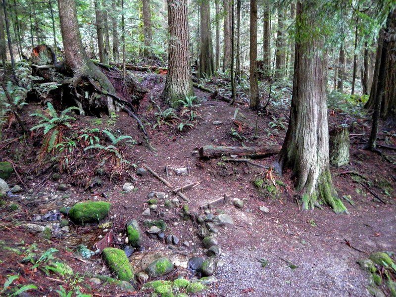 Start of the steep trail up the back side of the hill. Easy to miss off of Thornhill Trail.