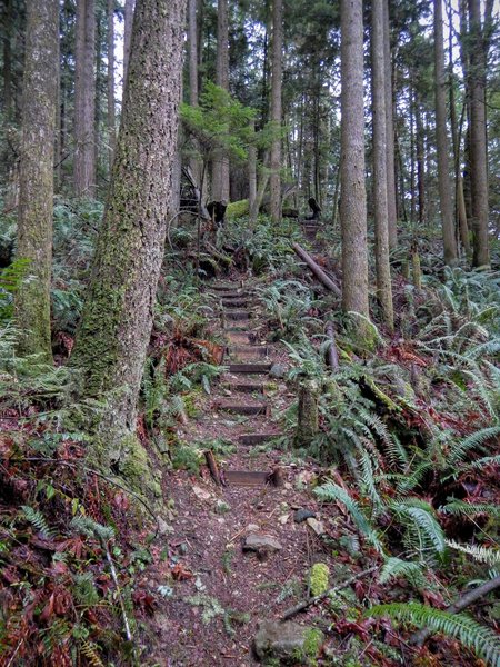 The first bunch of stairs cut into the side of the mountain.