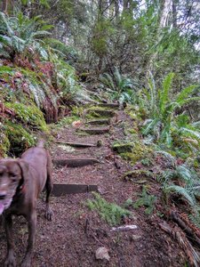 More stairs!