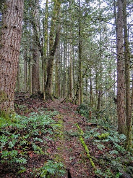 A break in the steep ascent.