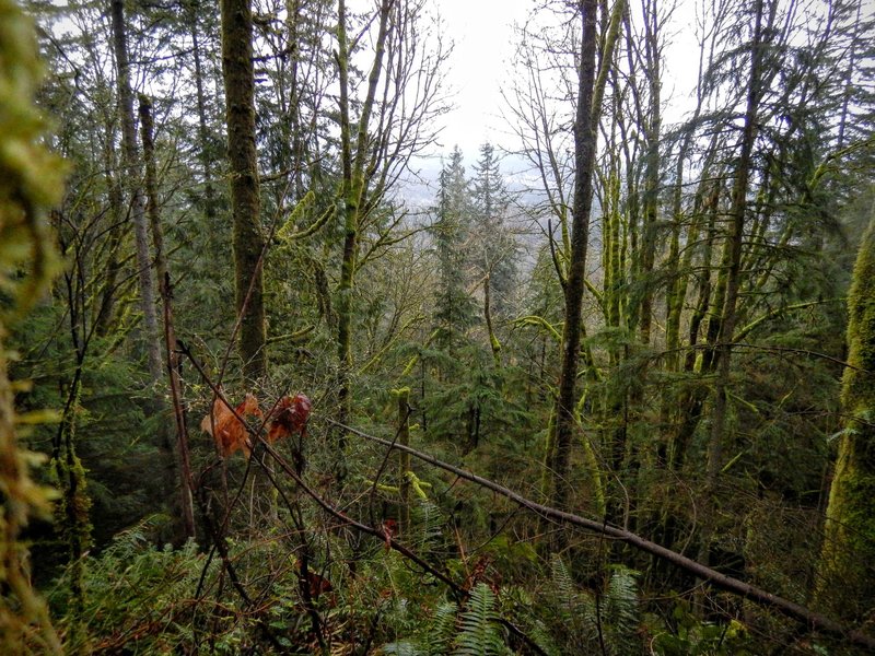 View of the mountains to the north.