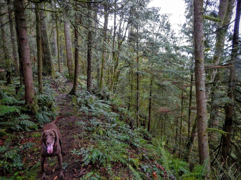 Another view of the steep drop off. The trail comes very close to the edge here.