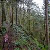 Another view of the steep drop off. The trail comes very close to the edge here.