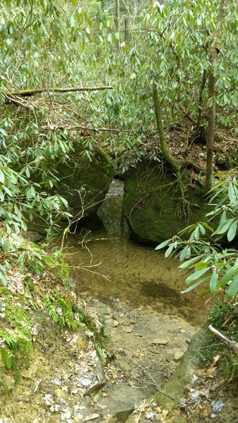 Sons Branch Creek crossing.