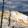 Canary Springs in Mammoth Hot Springs.