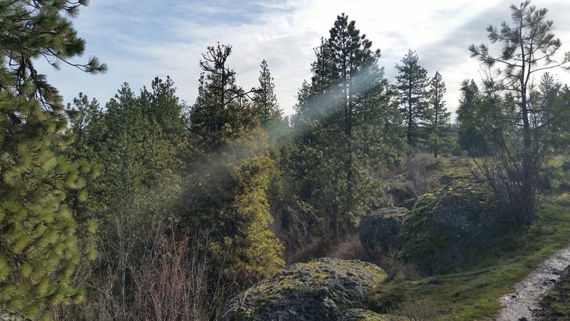 Basalt cliffs.