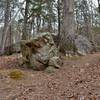 Rock outcrop along Hidden Rocks Loop.