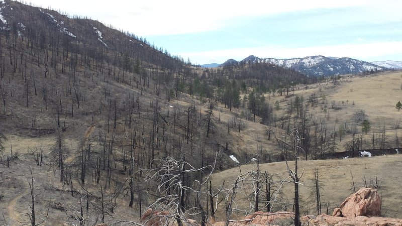 The view looking west just past the three mile mark on the trail. Elevation here is 6,700 ft.