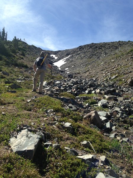 Easy scramble from Glacier Basin Trail up to Mount Ruth, east side of Mount Rainier NP (start from White River Campground trailhead).