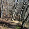 The trail along the Eno River.