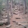 Section of the trail with "stairs."