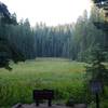 Crescent Meadow from the Loop Trail.