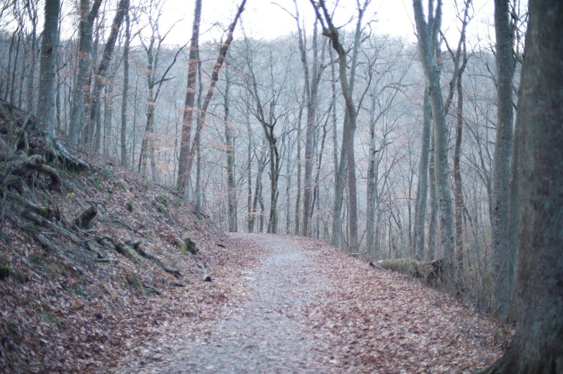 The trail leading down to the River Styx Spring.