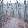 The trail leading down to the River Styx Spring.