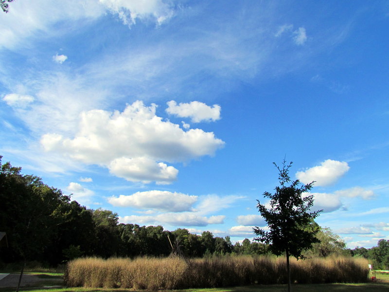 Blue sky day at the Annie Wilkerson Nature Preserve.