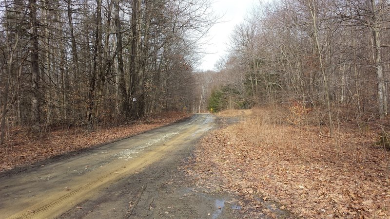 Top of Access Rd (snowmobile trail).