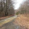 Top of Access Rd (snowmobile trail).