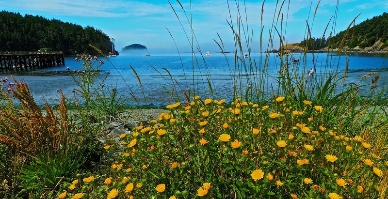 Low tide at Bowman Bay.