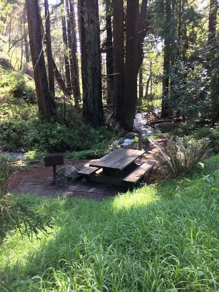 Great picnic spot by the creek