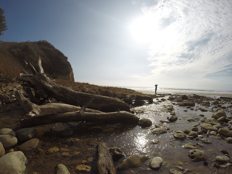 The view from the New Years Creek Trail to the Ocean.