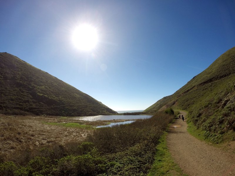 This lagoon is located just off the Tennessee Valley Trail as you approach the ocean.