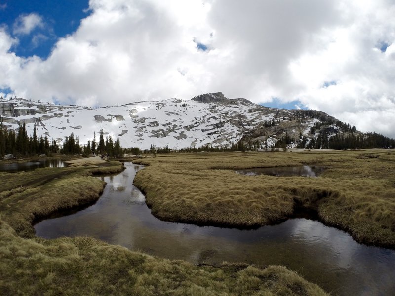 The marsh just as you approach Cathedral Lake.