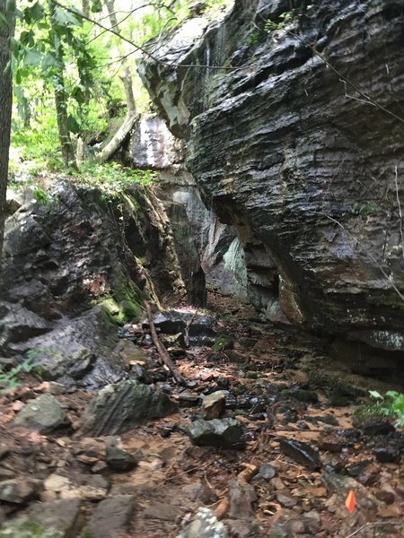 Stone cut on the Buzzard Falls trail.